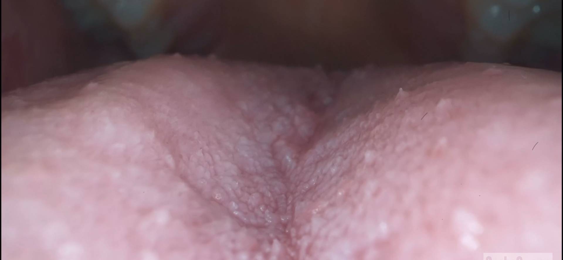 ⁣Into a giantess's mouth